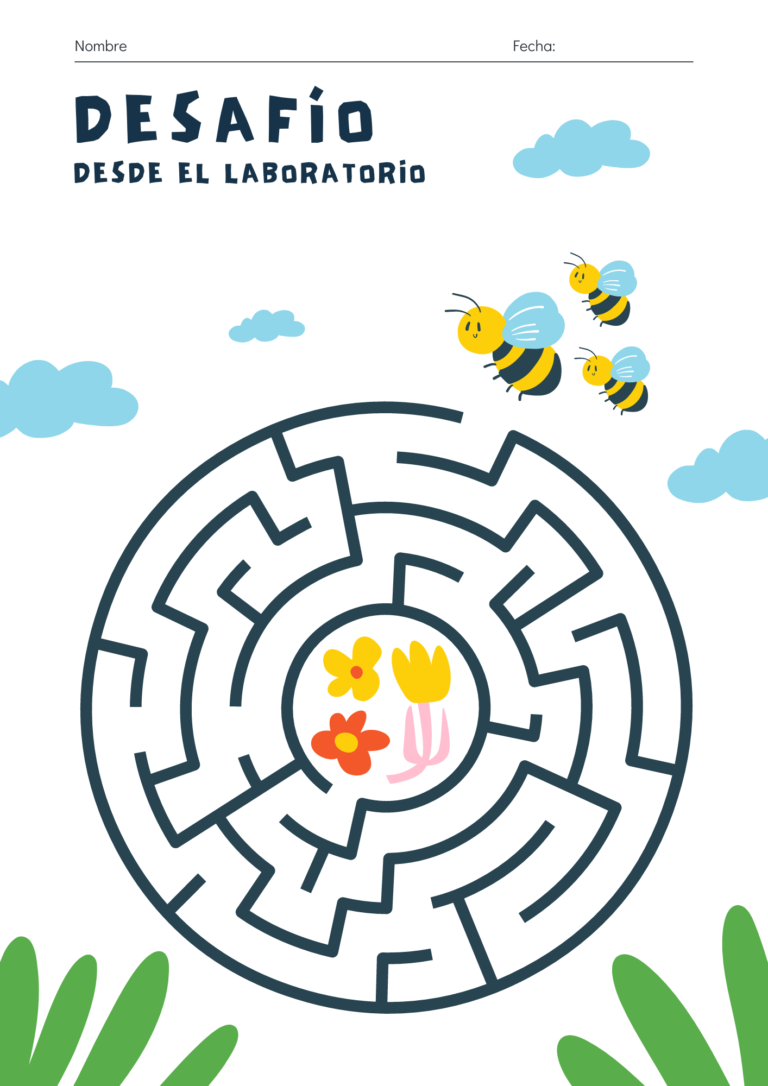 Cópia de Cognitivas - Atividades infantis editáveis - extra (2)